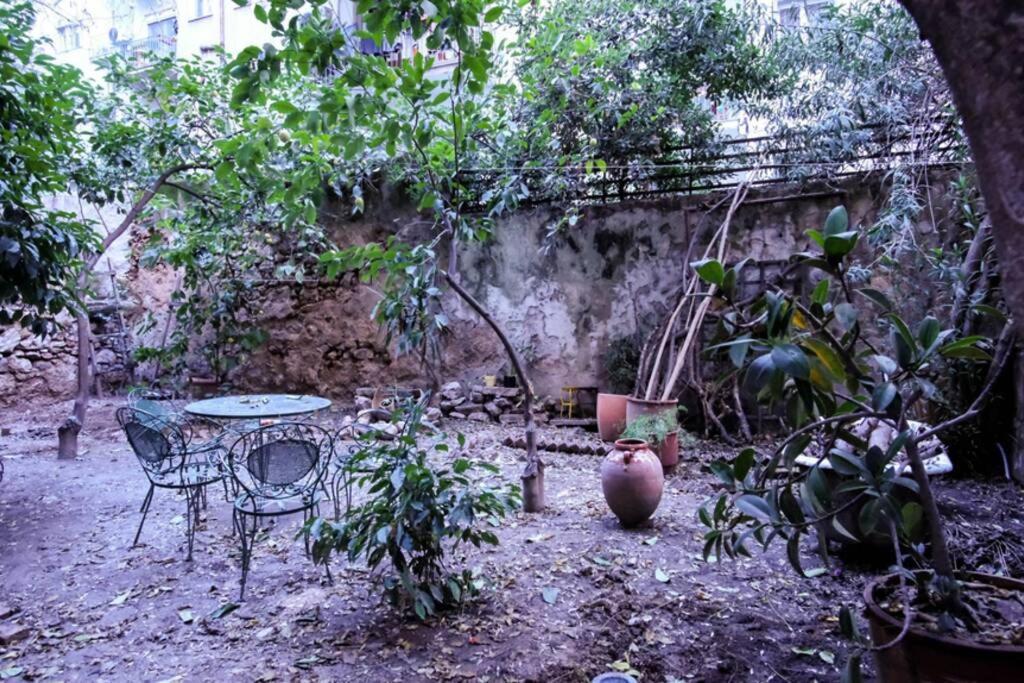 Calm And Cozy Flat With Romantic Garden Athens Exterior photo